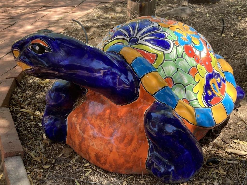 Casa Azul: Pet-Friendly Adobe Oasis in Central Location Tucson Exterior photo