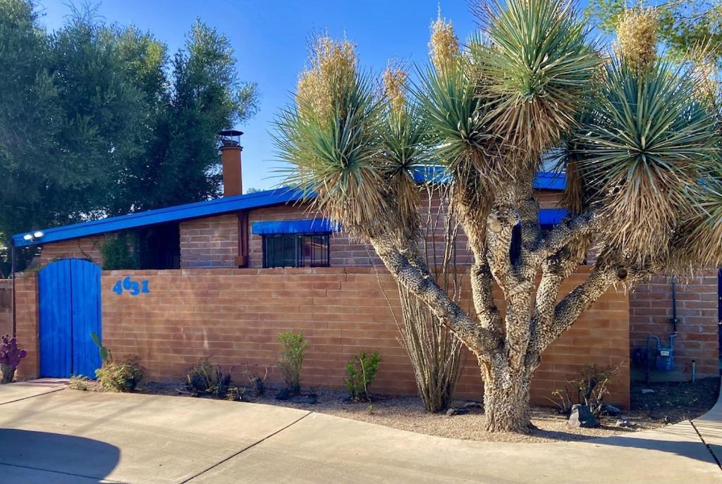 Casa Azul: Pet-Friendly Adobe Oasis in Central Location Tucson Exterior photo